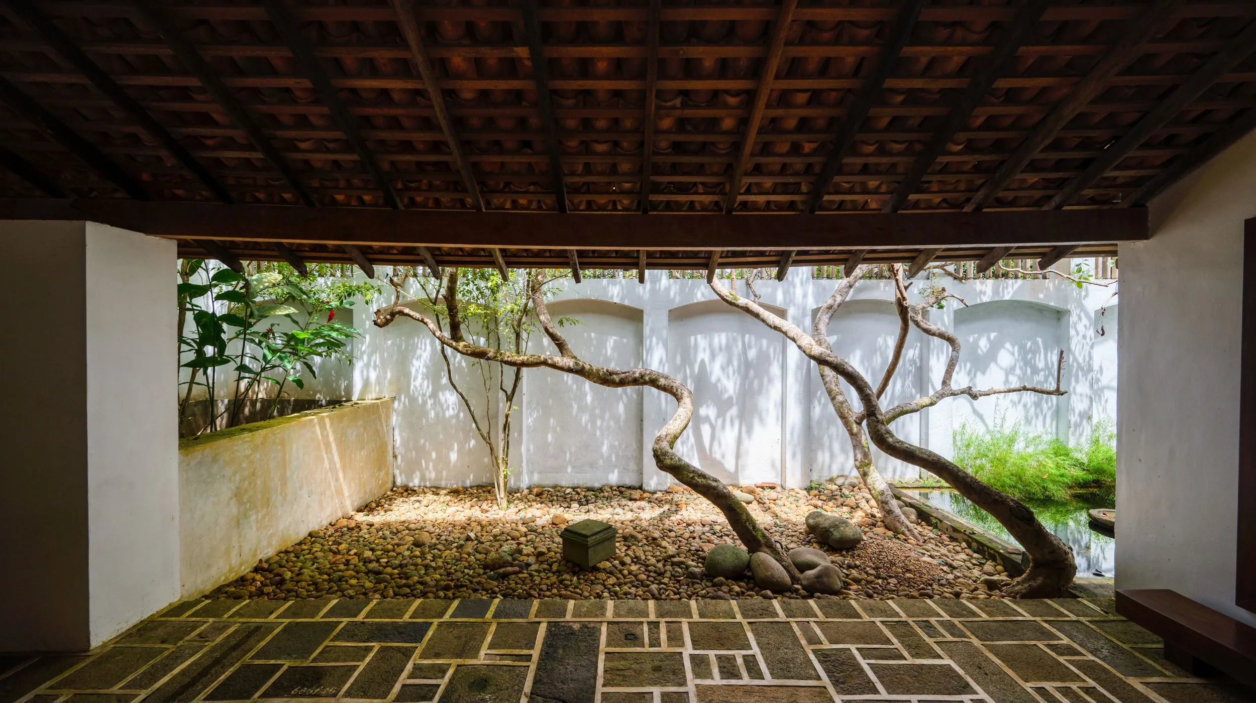 Un espace paisible, enveloppé de verdure et de lumière, invite à la sérénité et à la contemplation.