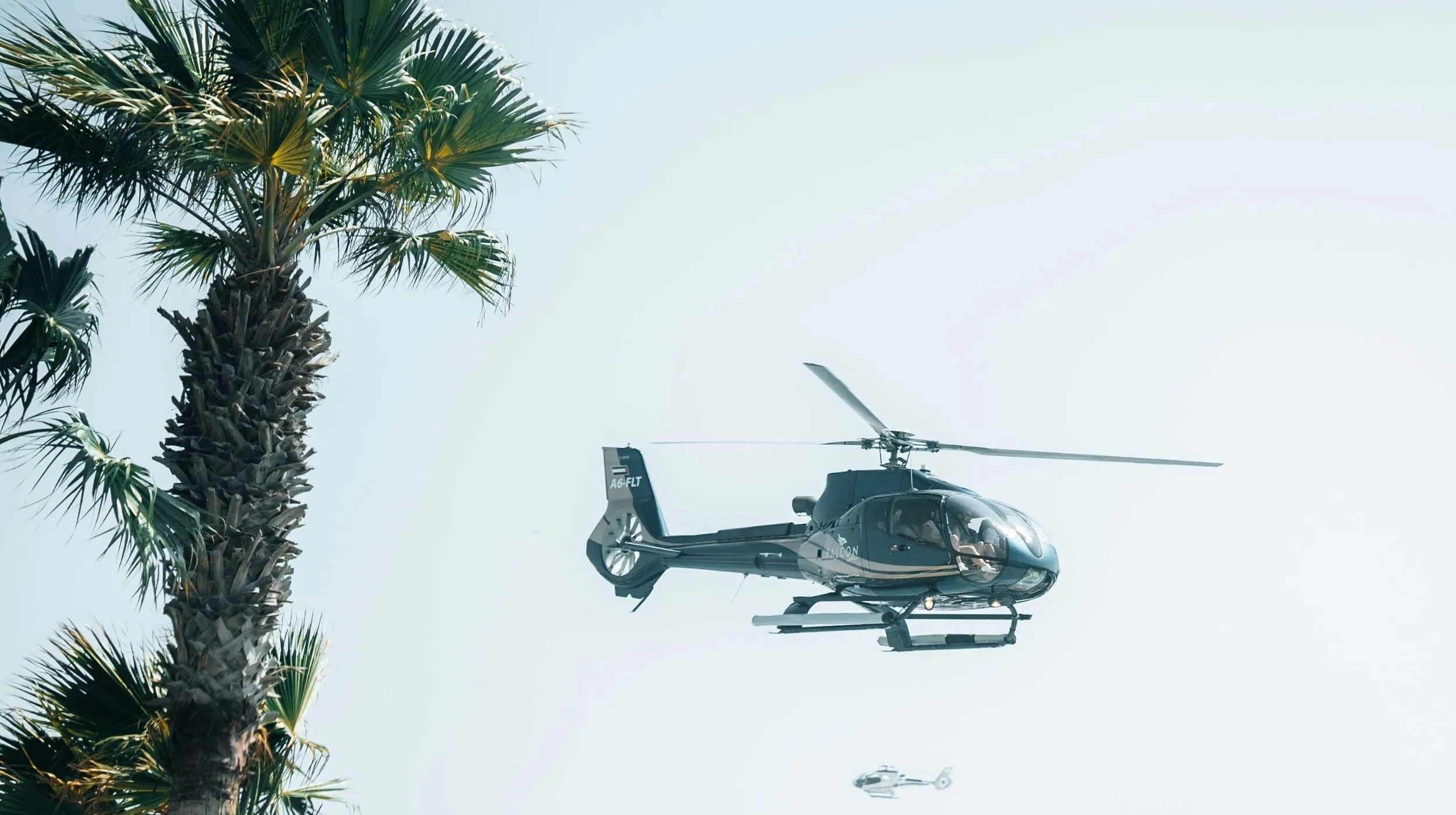 tour en helicopter et vue depuis le sol un palmier est à gauche