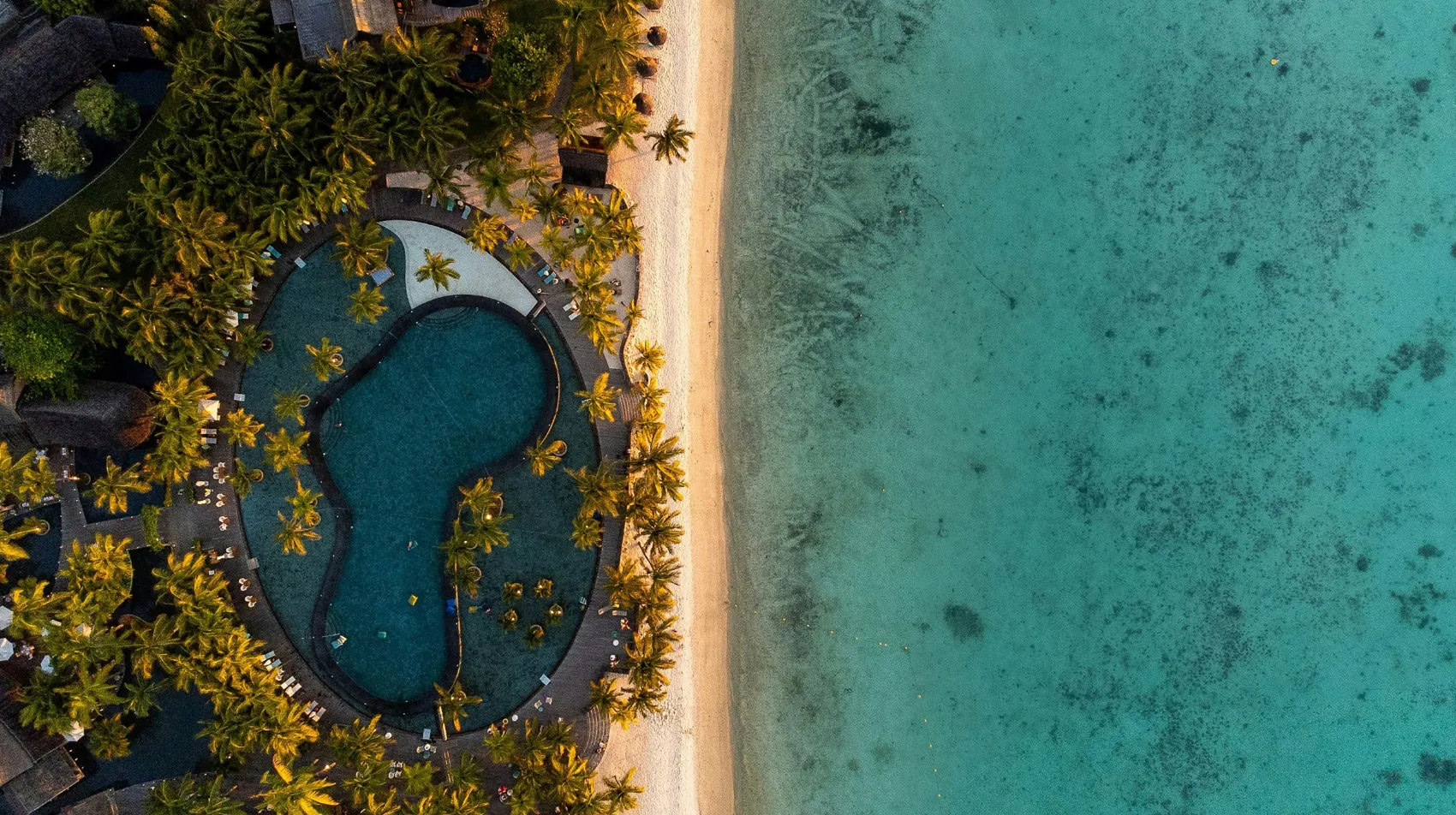 Hôtel de luxe à l'île Maurice - Plage paradisiaque bordée de palmiers et piscine accueillante, ambiance tropicale et relaxante.