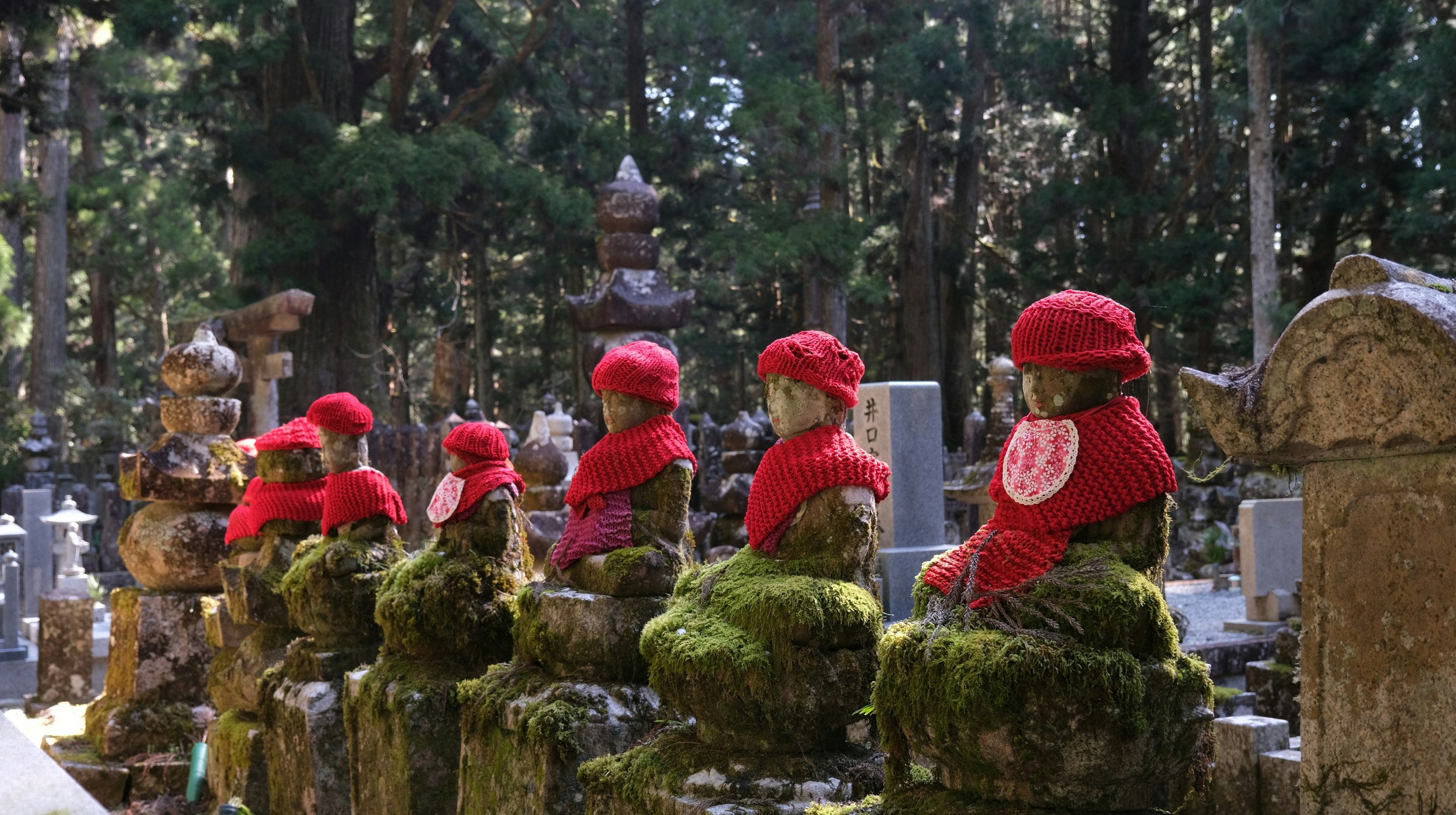 Scène paisible de statues couvertes de mousse, vêtues de chapeaux rouges dans une forêt tranquille.