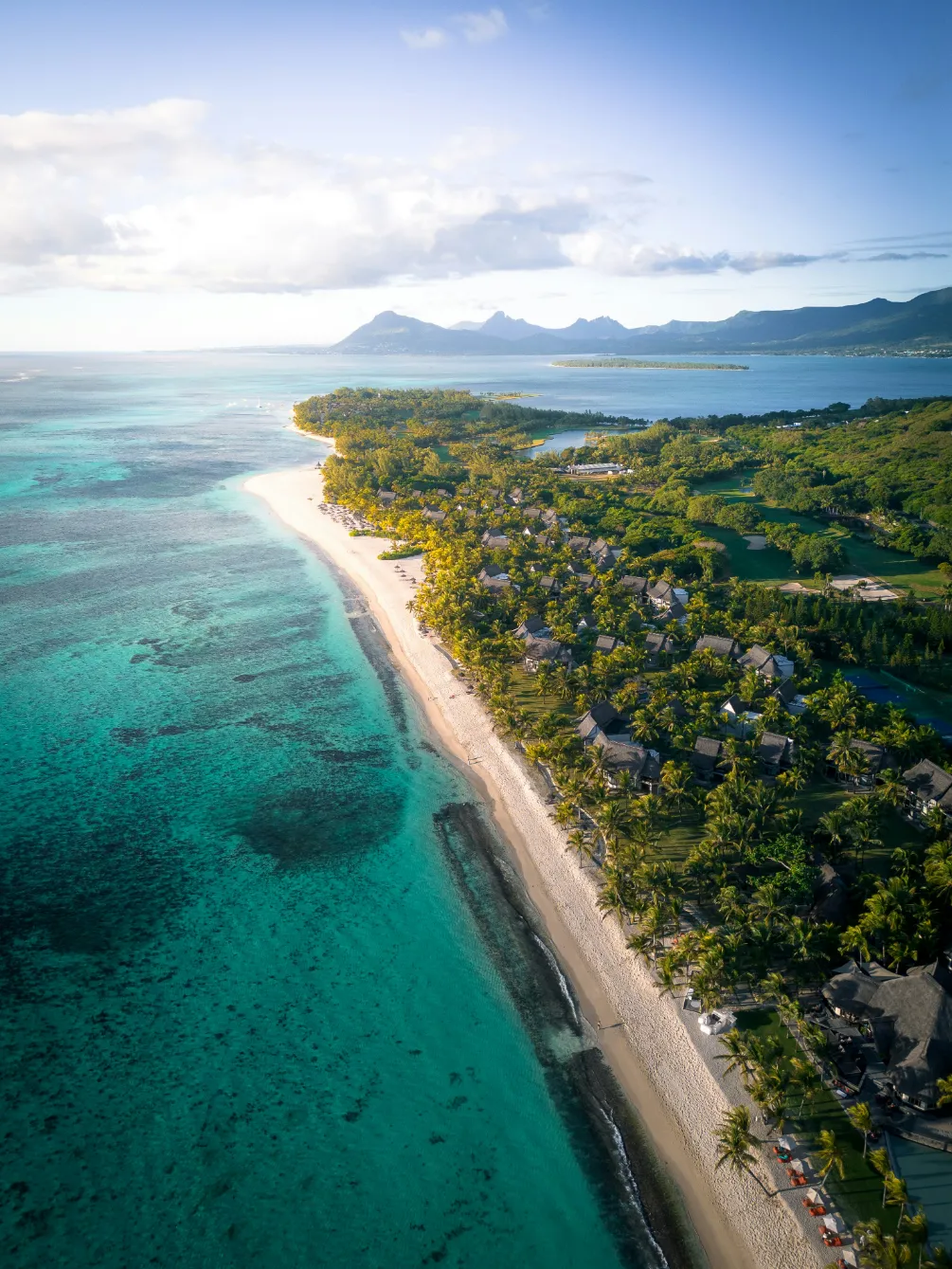 Île Maurice — Plage idyllique bordée de palmiers et d'eaux turquoise, offrant un paysage enchanteur.