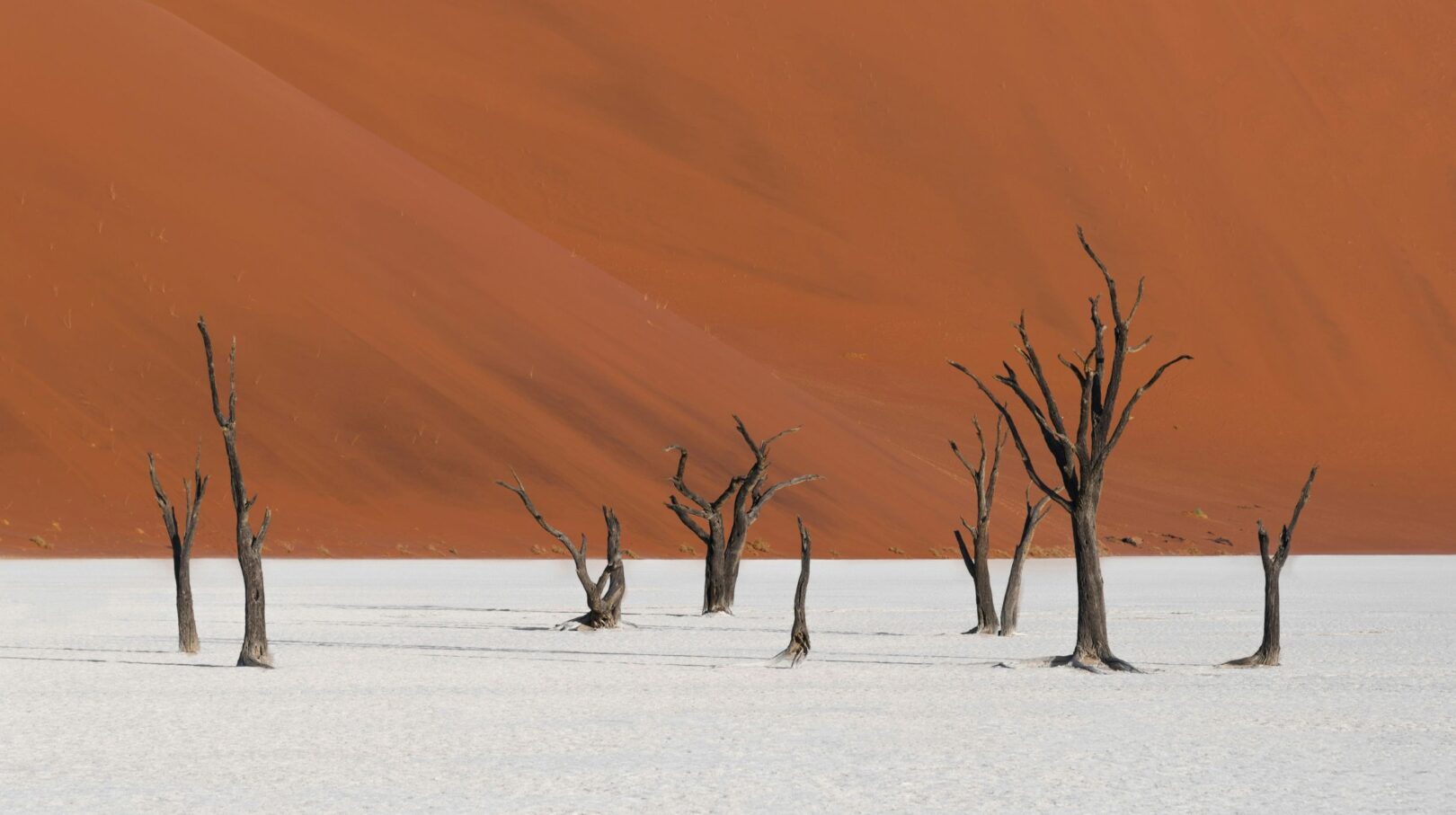Arbres morts dans le désert de Deadvlei avec dunes rouges, Namibie