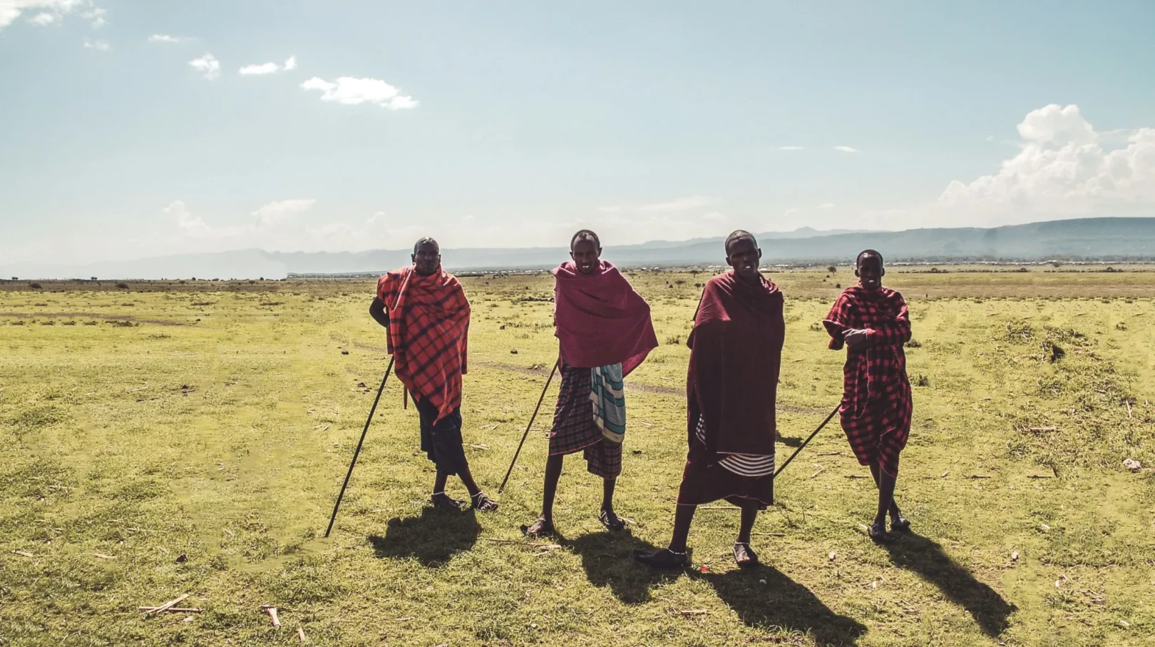 Guerriers masaï en habits traditionnels marchant dans la savane de Tanzanie