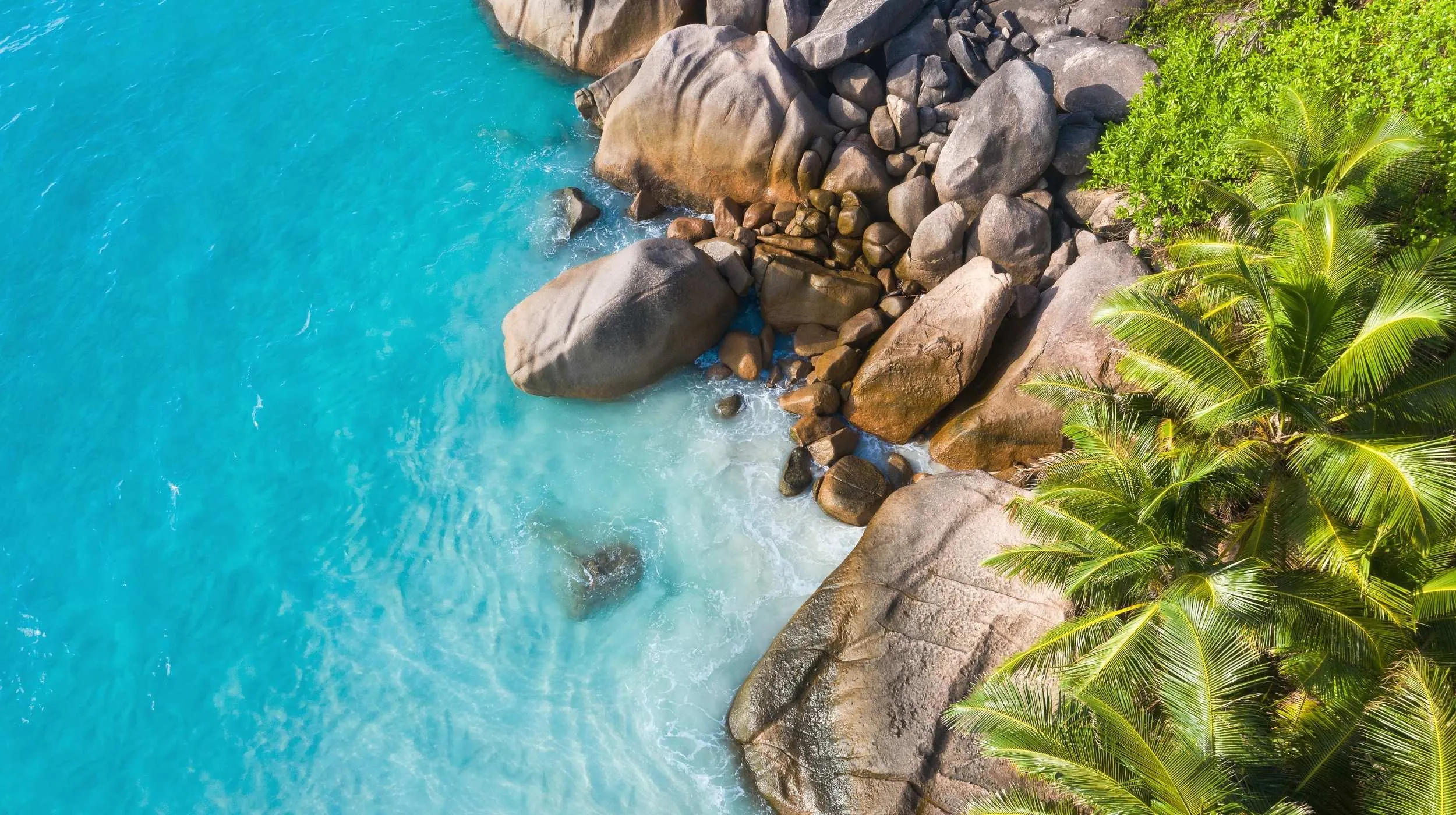 Plage magnifique avec des rochers et des palmiers au bord d'une eau turquoise.