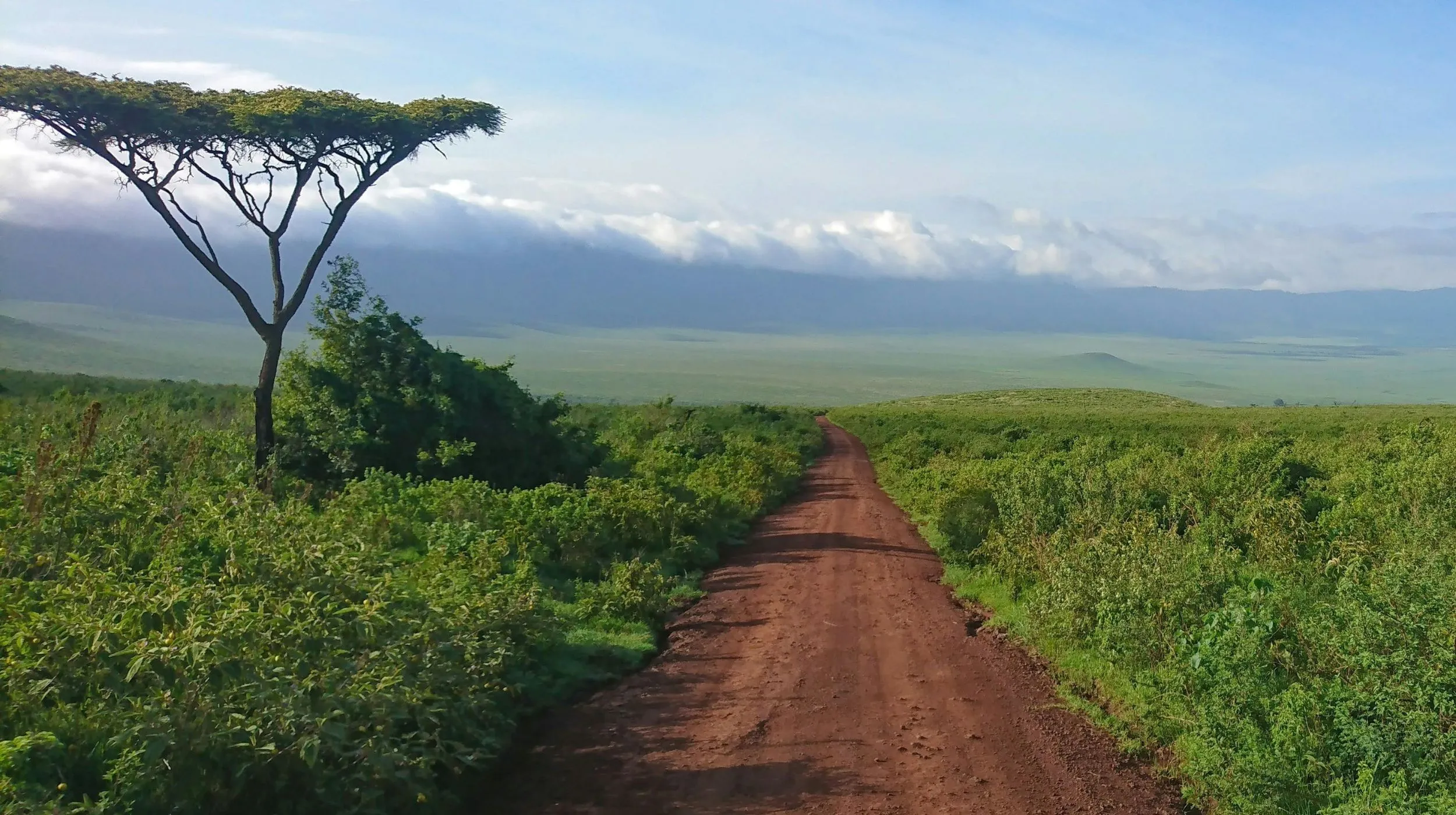 Piste rouge traversant la savane verdoyante du cratère du N’gorongoro, avec en arrière-plan un ciel nuageux et les reliefs majestueux de la caldeira.