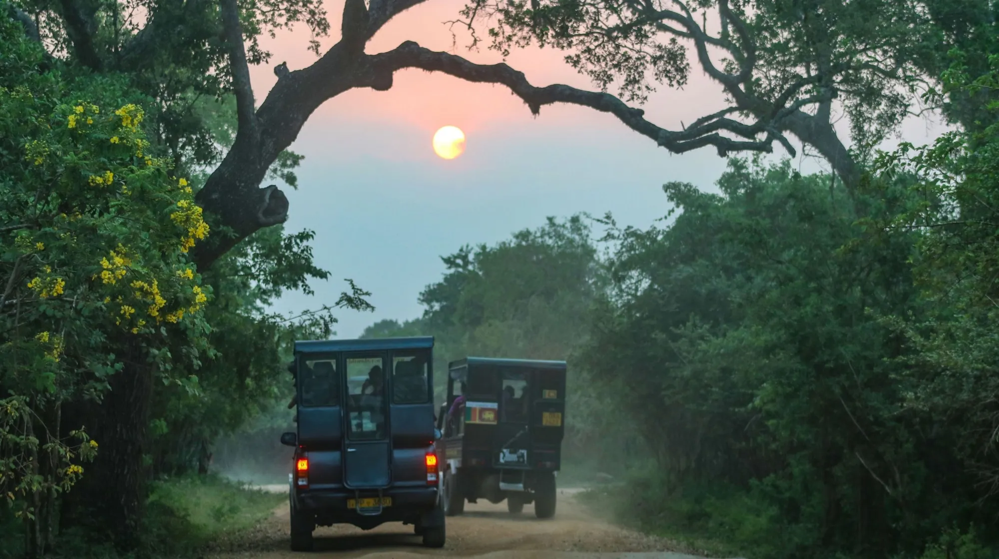 jeep durant un safari au sri lanka