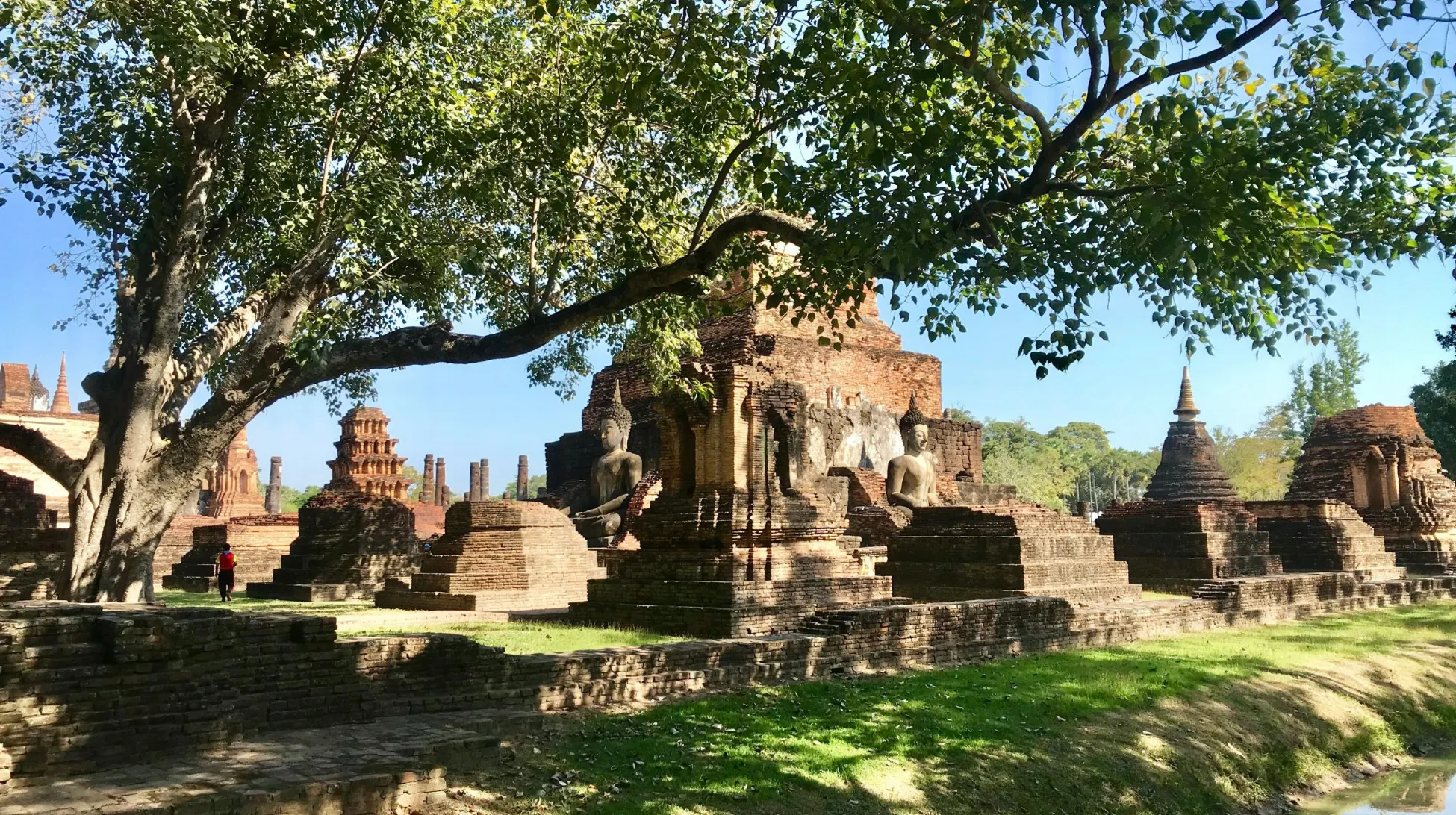 Ruines historiques sous un grand arbre, avec des statues de Bouddha, dans un site pittoresque.