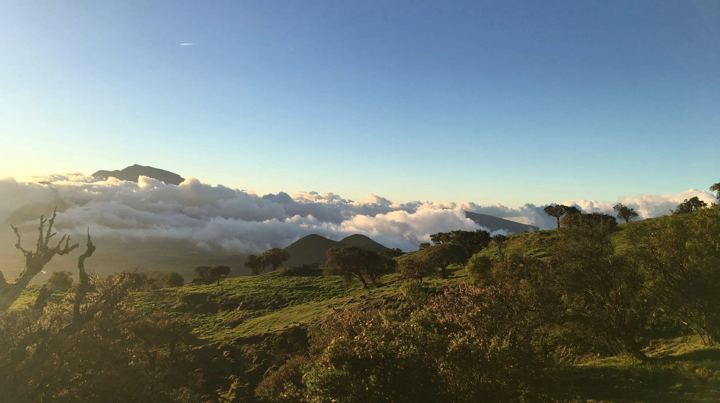 vue panoramique de l ile de la réunion