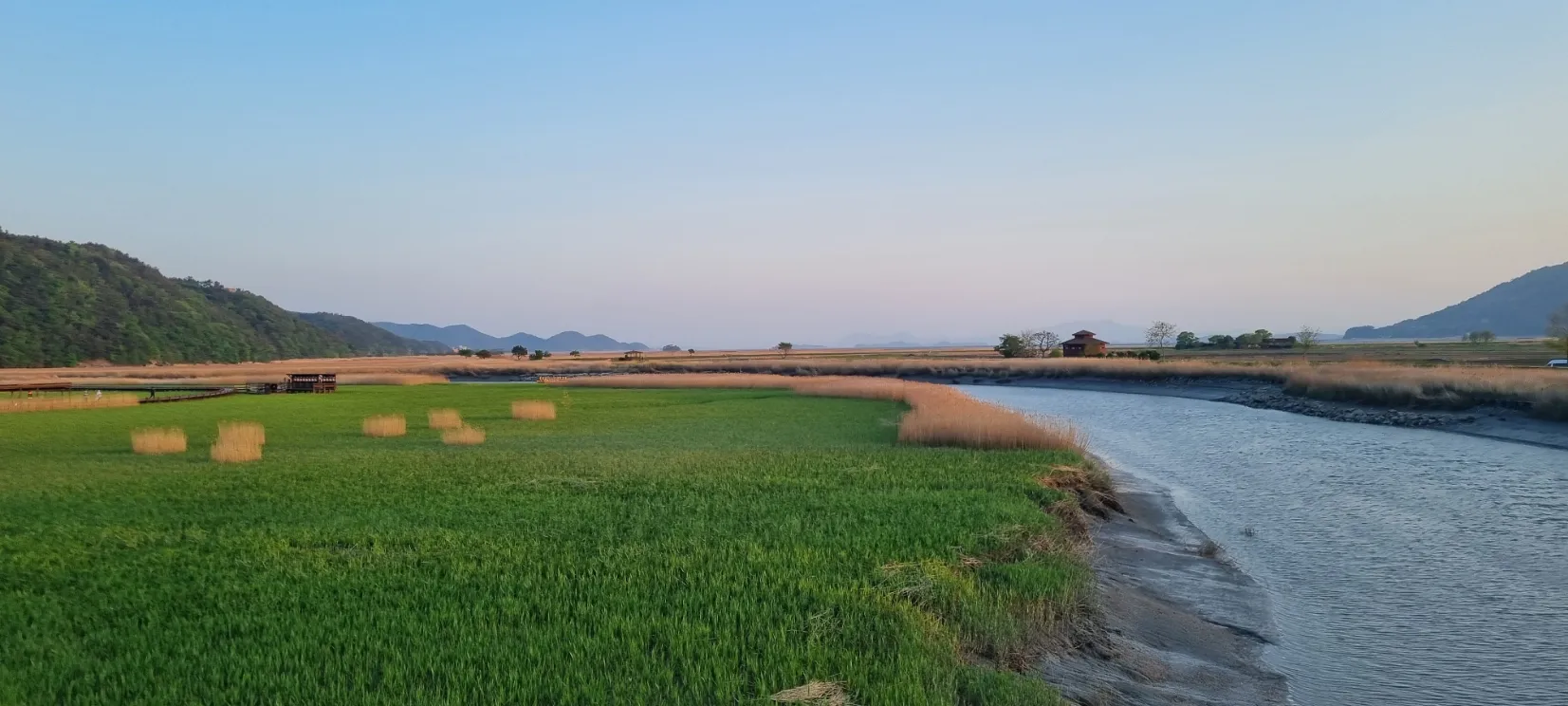 Scène paisible de rizières verdoyantes bordées par une rivière, avec des montagnes en arrière-plan.