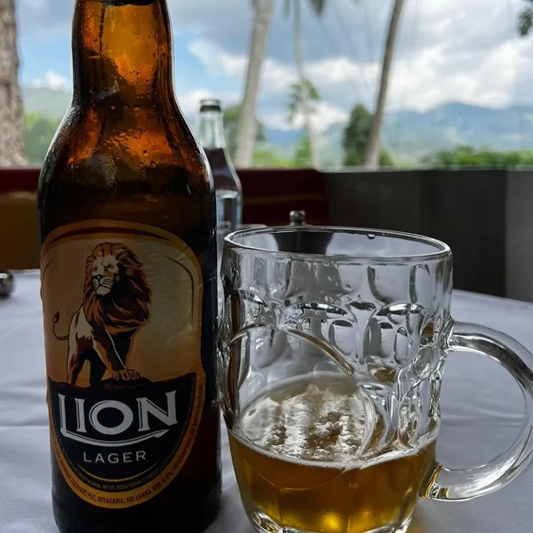 Bière Lion, Sri Lanka — moment convivial avec vue sur une nature luxuriante et des montagnes majestueuses.