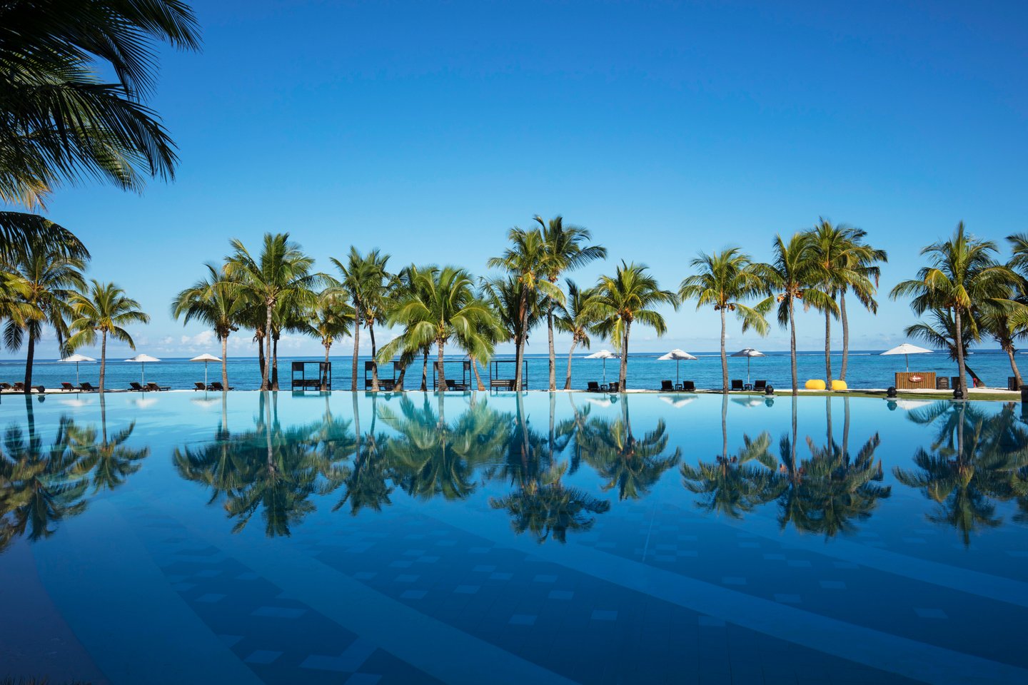 Hôtel Dinarobin- Vue paisible d'une piscine à débordement entourée de palmiers, avec la mer en arrière-plan.