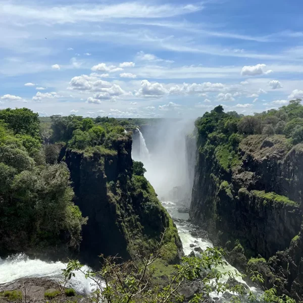 Chutes d'eau spectaculaires entourées de végétation luxuriante, offrant un panorama époustouflant.