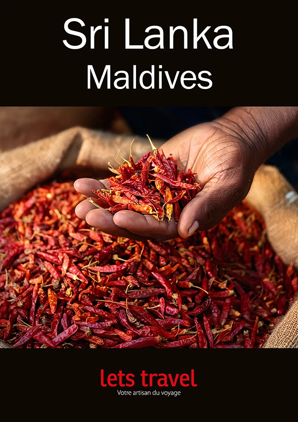 Épices colorées dans une main, ambiance authentique et chaleureuse d'un marché local.
