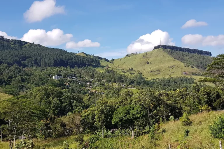 Paysage verdoyant et montagneux, Sri Lanka — une vue époustouflante sur des collines luxuriantes.