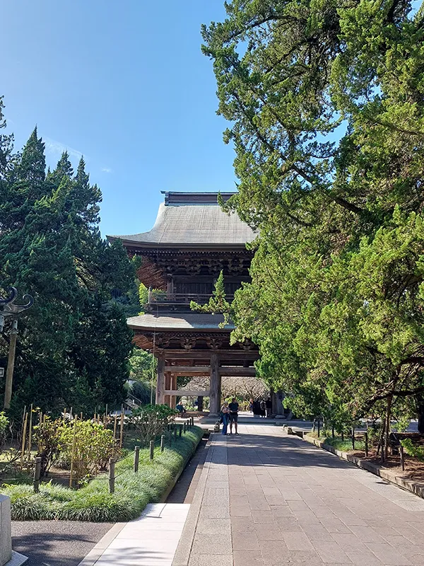 Japon — Allée paisible menant à un temple entouré de verdure luxuriante et de ciel bleu.