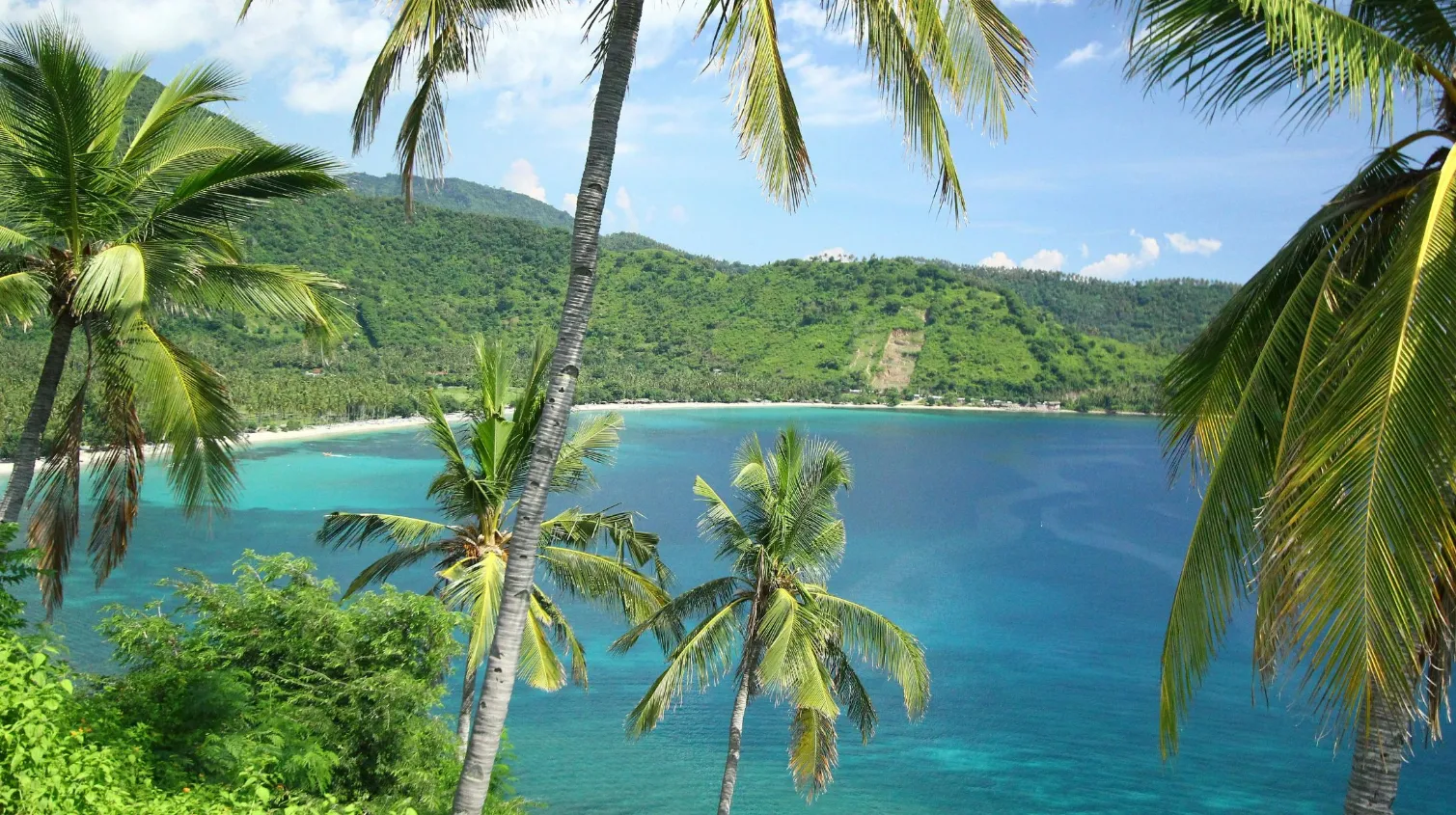 Plage paradisiaque à Lombok, bordée de palmiers, vue sur une mer turquoise et des collines luxuriantes.