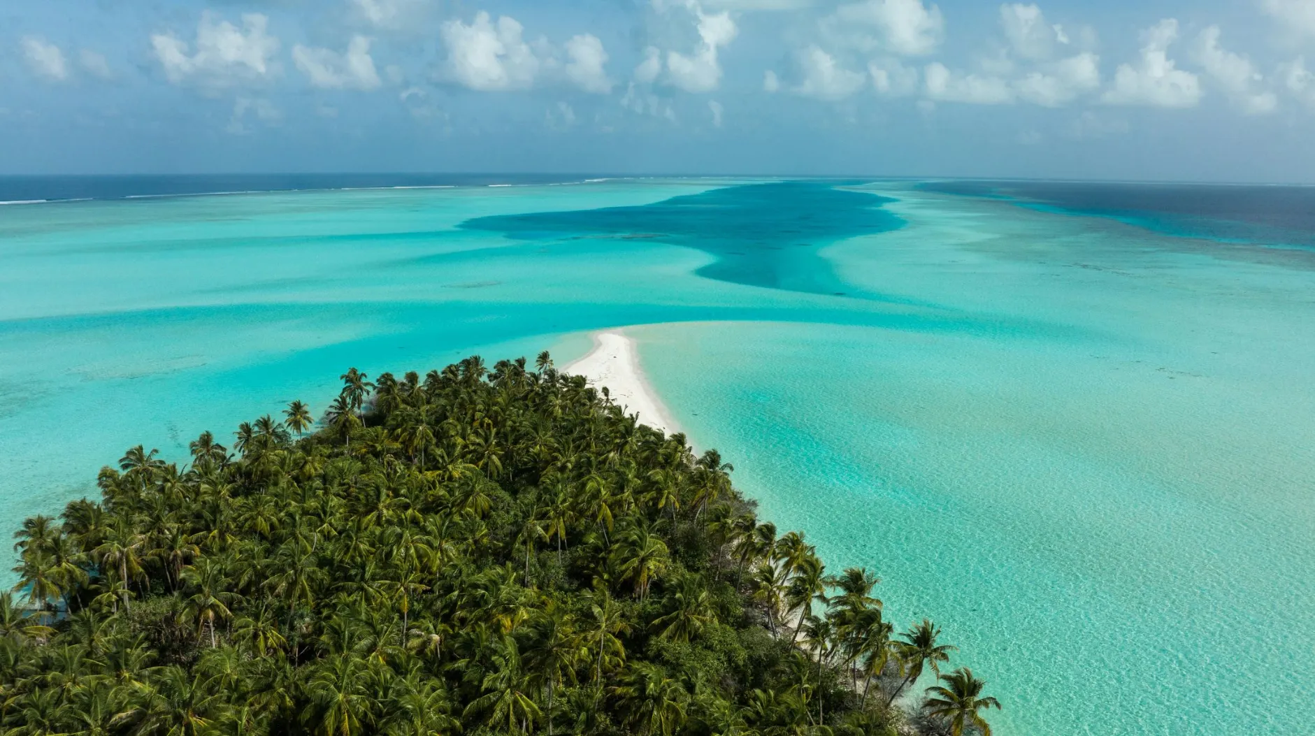Voyage aux Maldives — eaux turquoise et plages de sable fin bordées de palmiers luxuriants.