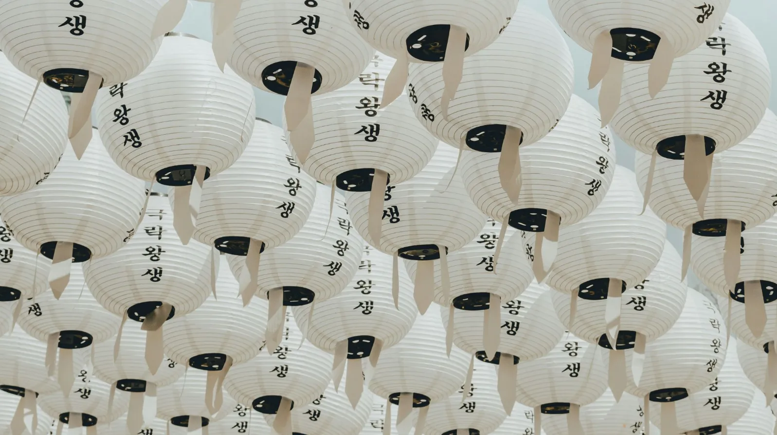 Lampions en papier suspendus, créant une ambiance lumineuse et envoûtante dans un décor asiatique.