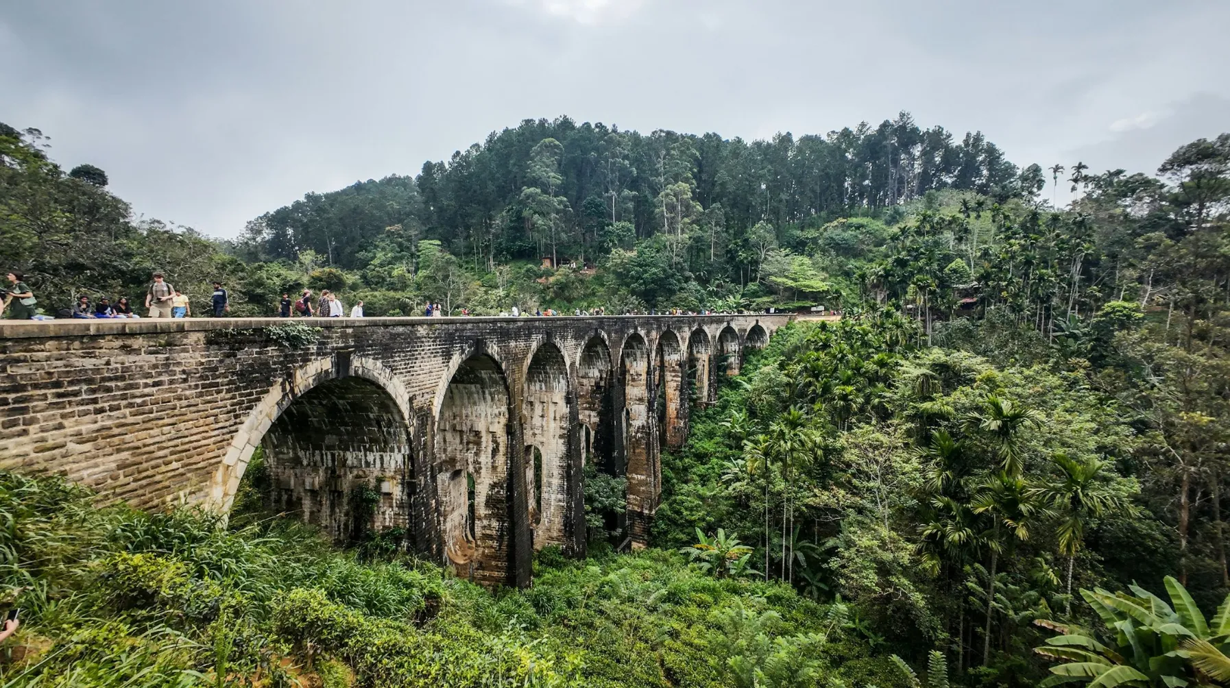 Pont majestueux surplombant une végétation luxuriante, durant un voyage au Sri Lanka — un paysage enchanteur à explorer.