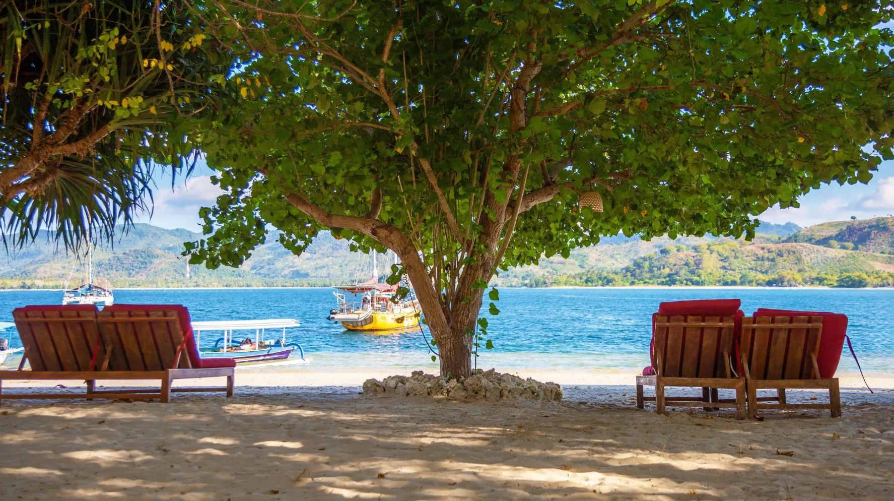 Plage paisible avec chaises longues sous un arbre, offrant une vue sur une mer turquoise et des bateaux colorés.