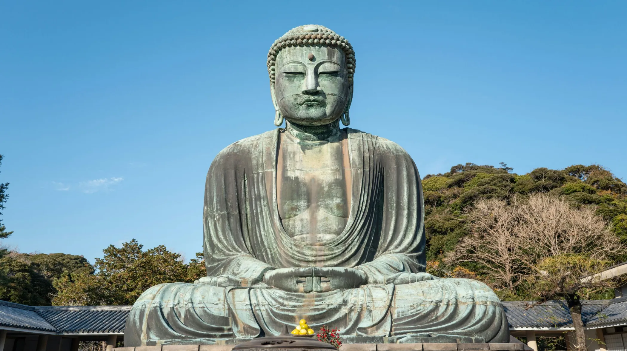 Kamakura, Japon — majestueuse statue de Bouddha entourée d'une nature apaisante et verdoyante.