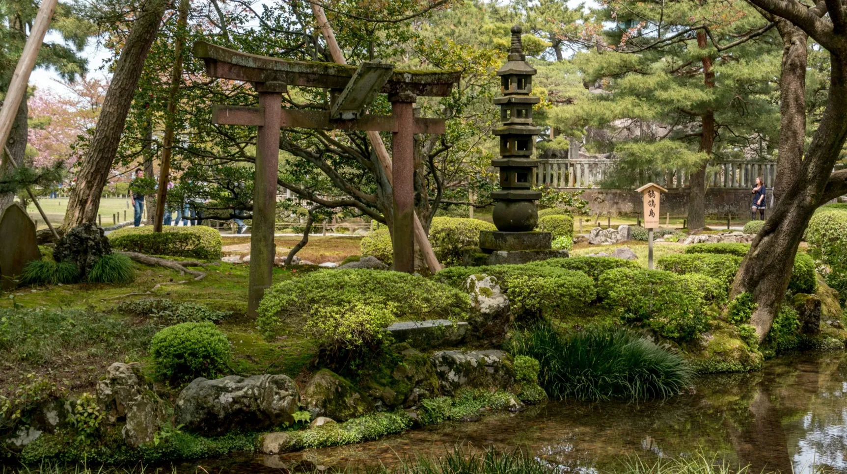 Jardin paisible avec un torii et un lanternon, entouré de verdure luxuriante et de rochers apaisants.