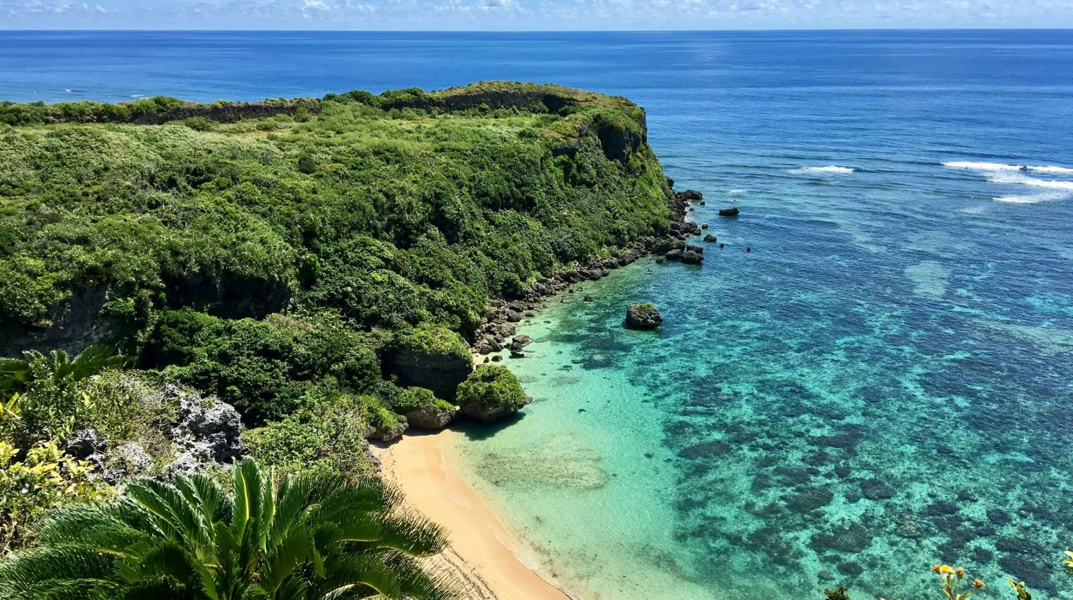 Okinawa- Plage paisible entourée de végétation luxuriante et d'une mer turquoise éclatante.