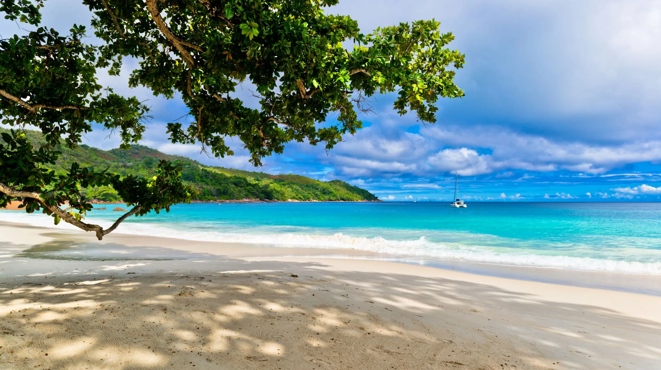 Plage paisible avec des eaux turquoise et un ciel lumineux, parfaite pour une escapade tropicale.