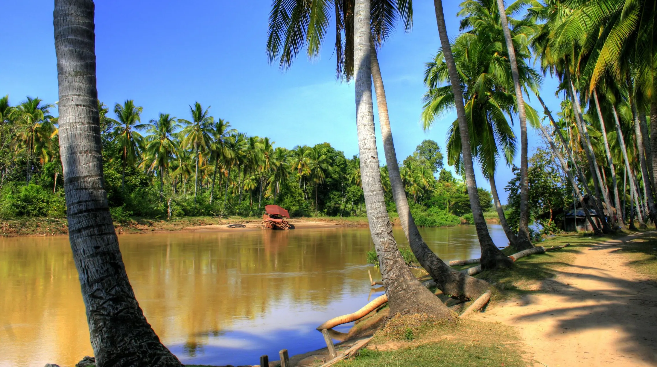 Rivière paisible bordée de palmiers luxuriants, offrant une vue idyllique sur la nature environnante.