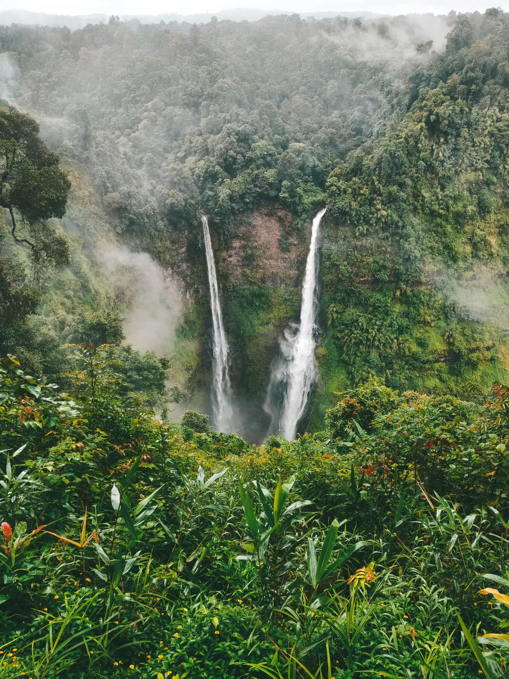 Chutes d'eau majestueuses au cœur diu Laos dans une jungle luxuriante, créant un paysage enchanteur et apaisant.