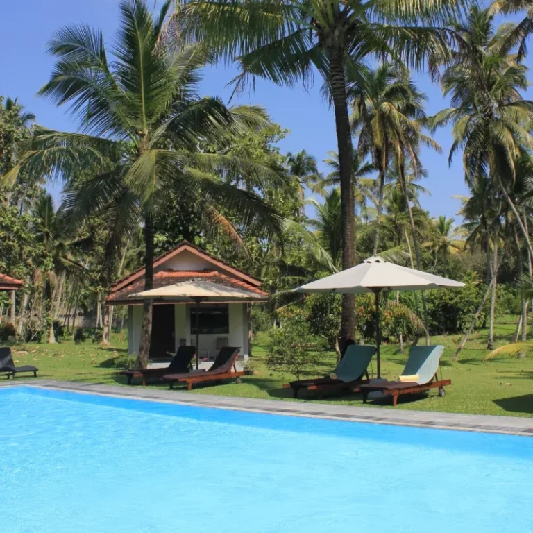 Piscine turquoise entourée de palmiers, avec des chaises longues dans un cadre tropical et apaisant.