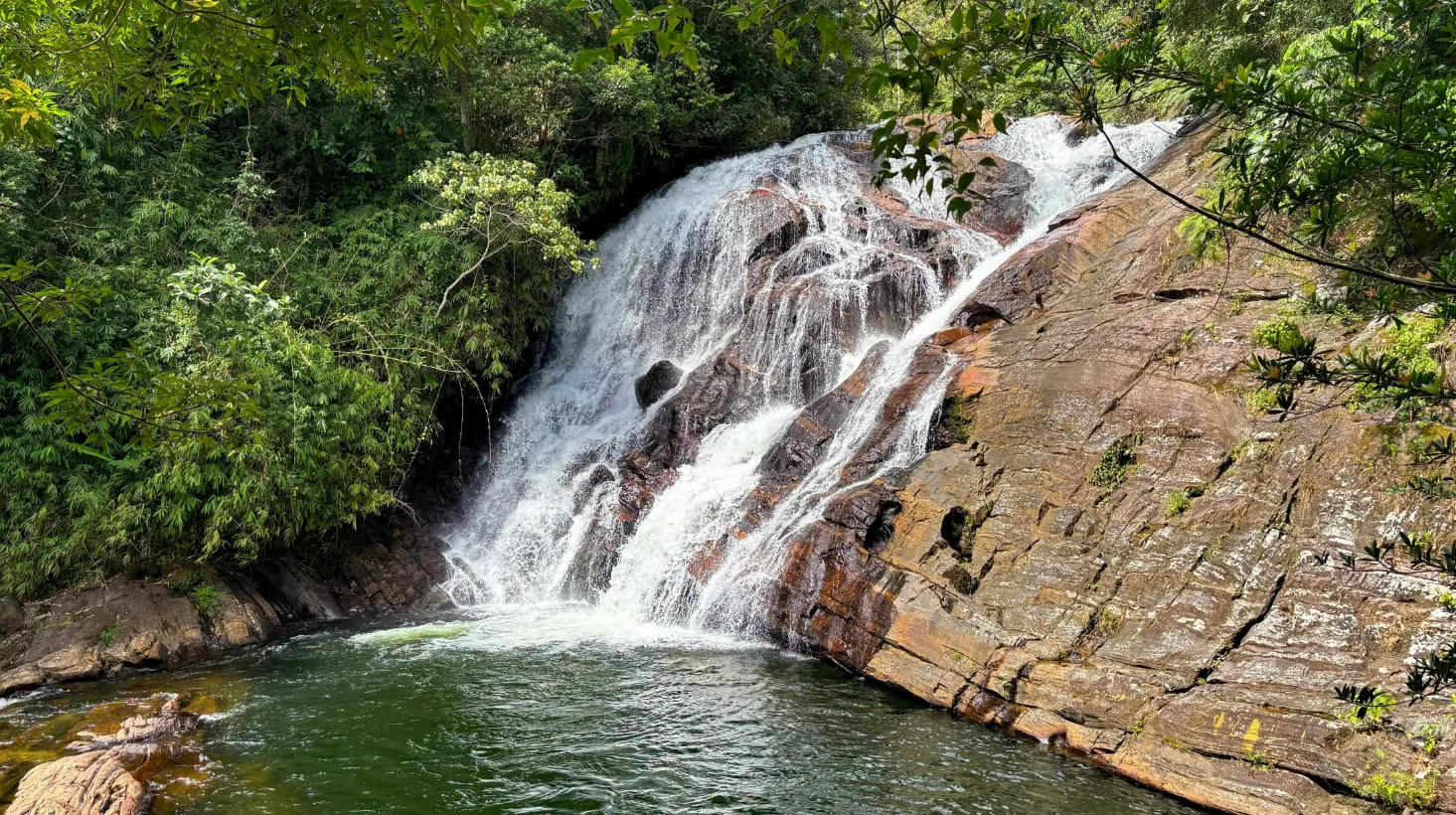 Chute d'eau majestueuse entourée d'une végétation luxuriante et paisible.