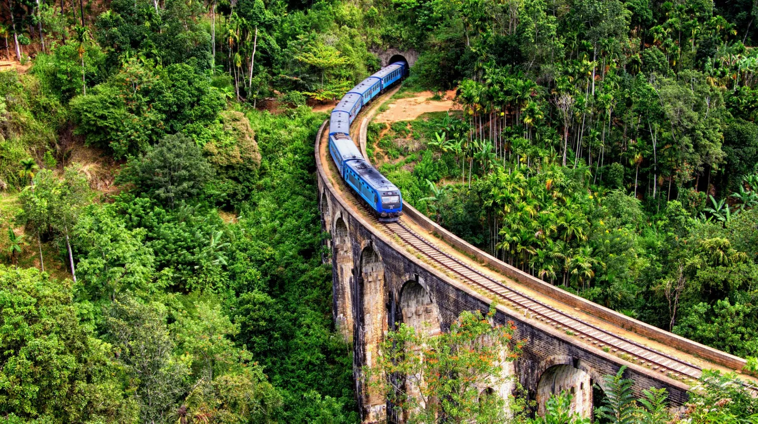 Train pittoresque traversant un viaduc au cœur d'une végétation luxuriante durant un voyage au Sri Lanka.