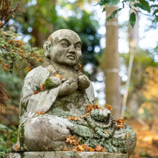 Un moment apaisant au cœur d'un jardin enchanteur, où la sérénité d'une statue de Bouddha invite à la méditation.