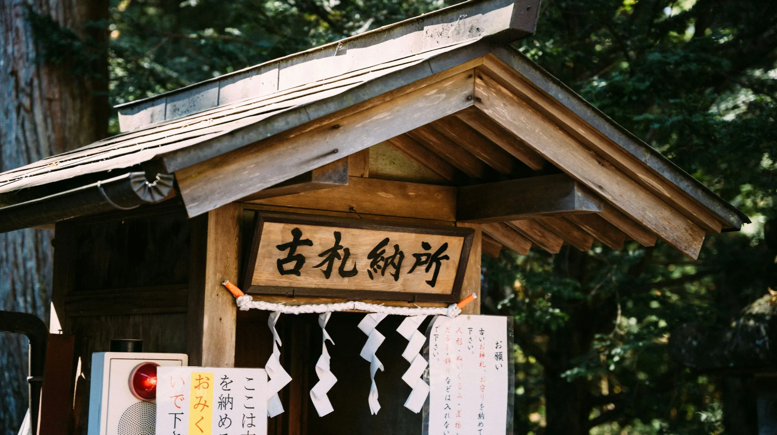 Panneau en bois traditionnel dans une forêt japonaise, évoquant un lieu sacré et apaisant.
