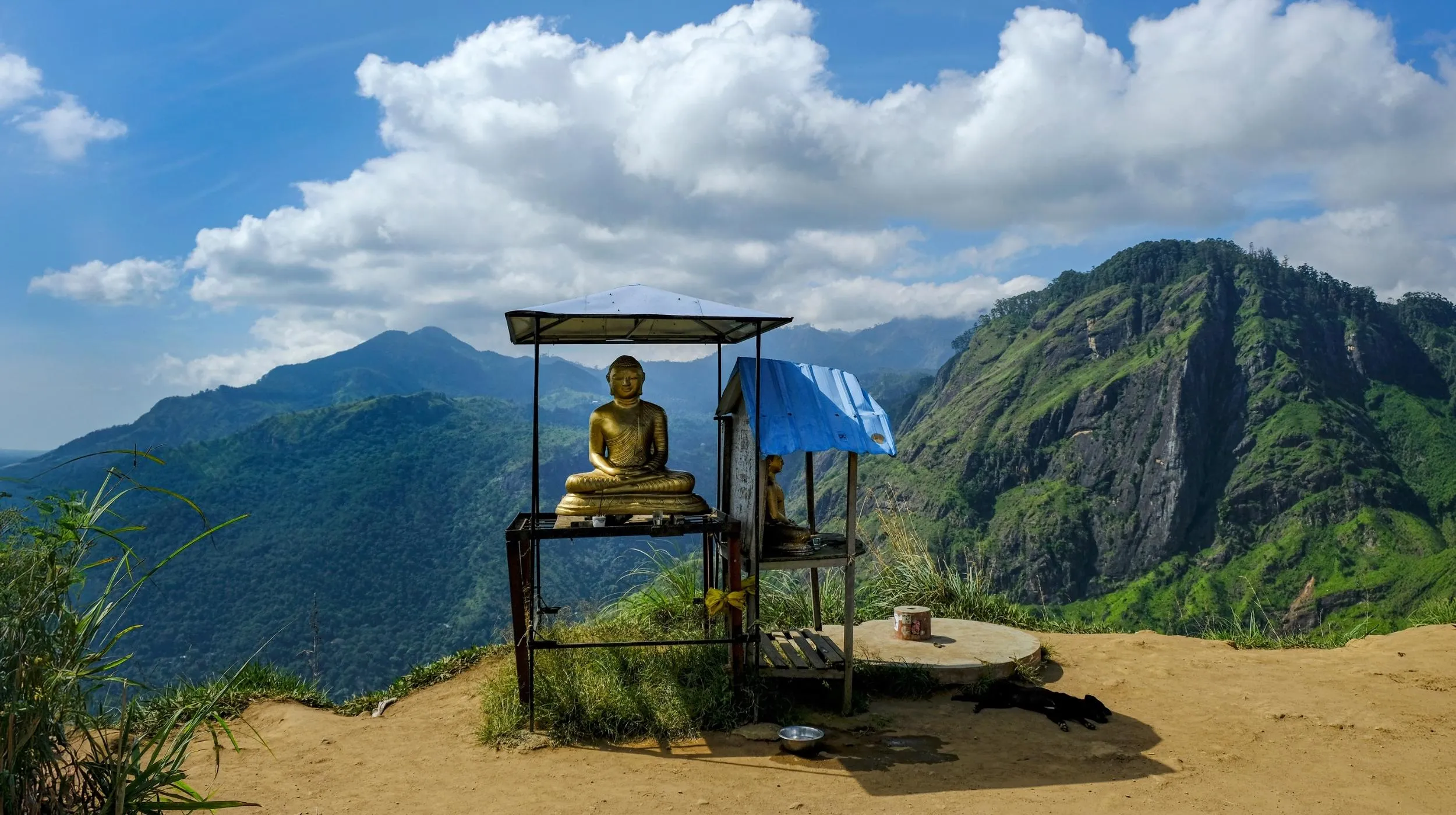 Rencontres et sentiers de montagnes