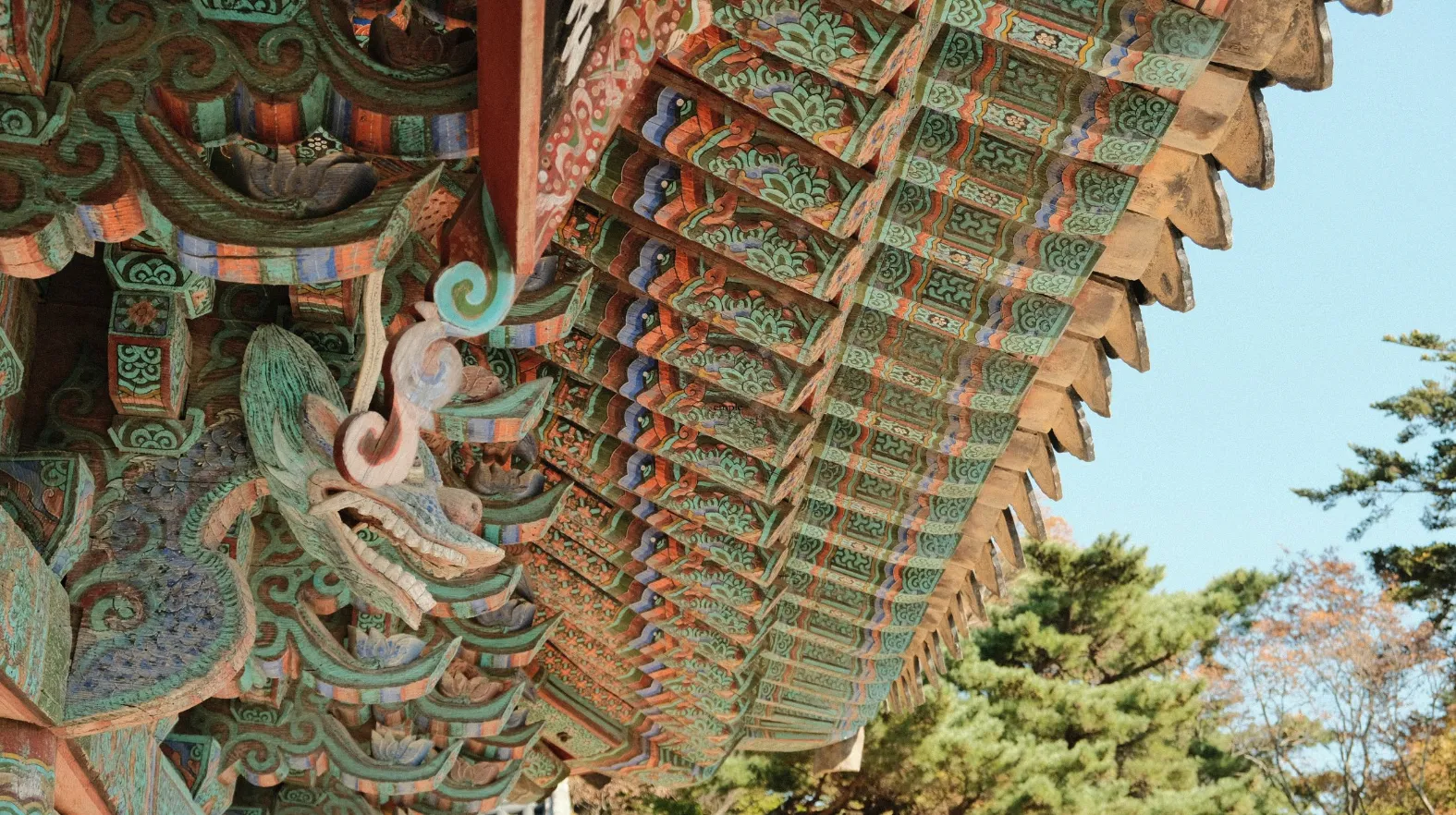 Take it easy – Corée du sud