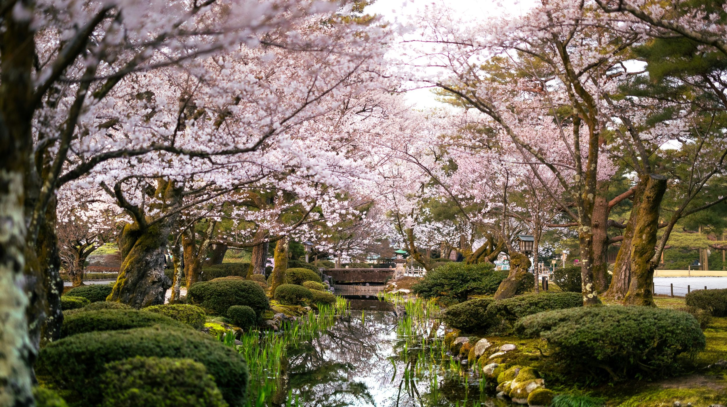 Japon: nature, traditions et innovations