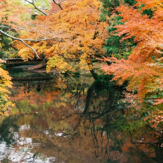 Japon — un paysage enchanteur aux couleurs d'automne, où la sérénité des rivières invite à l'évasion.