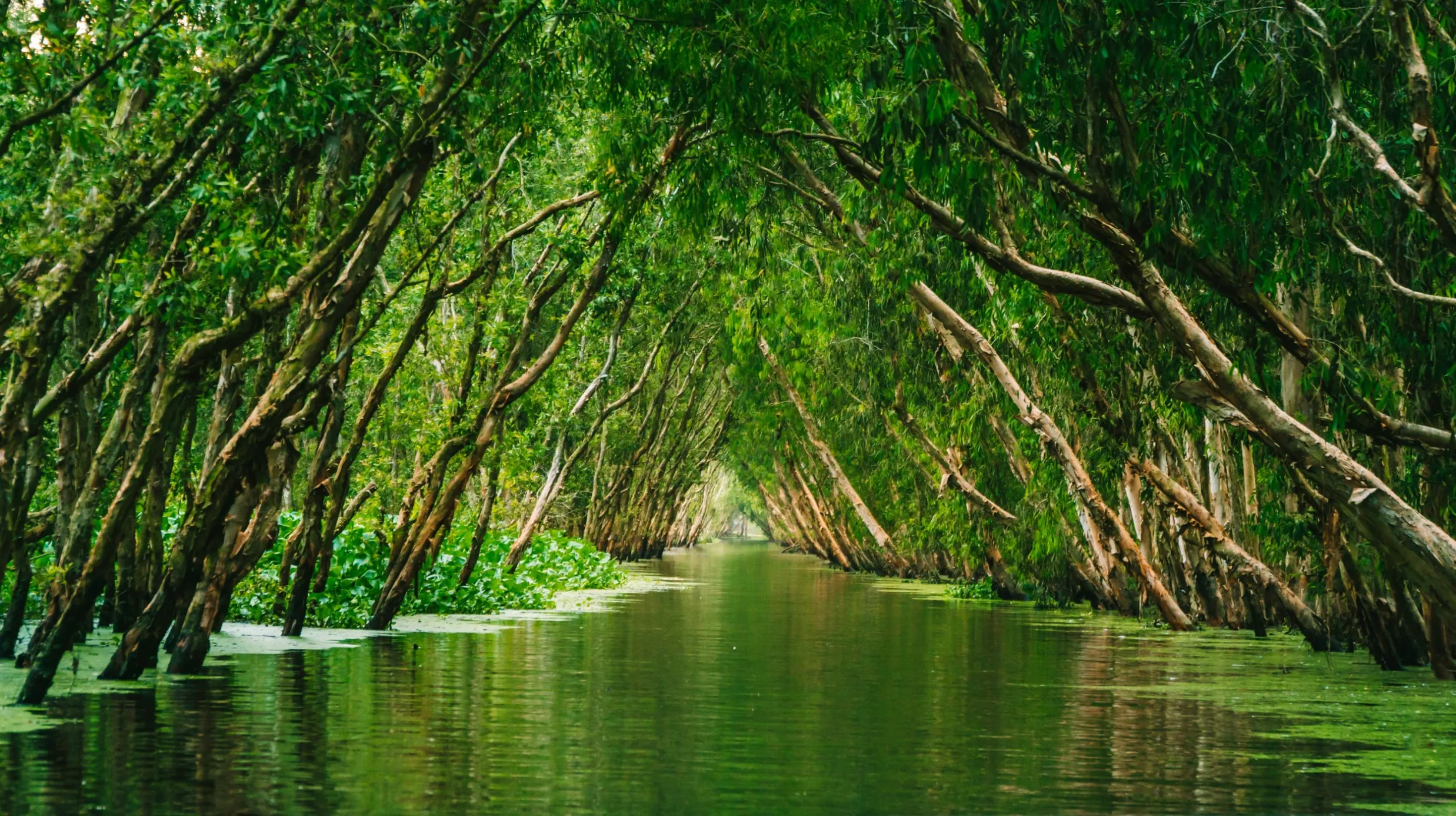 Au fil de l’eau : de Saïgon à Siem Reap