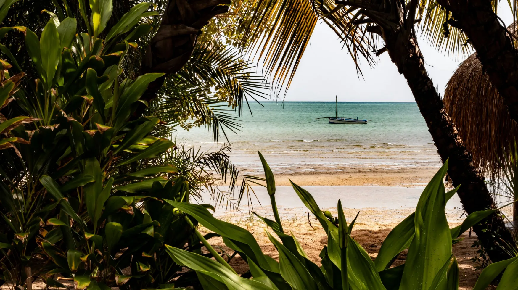 « Take it easy » Afrique du Sud, Mozambique