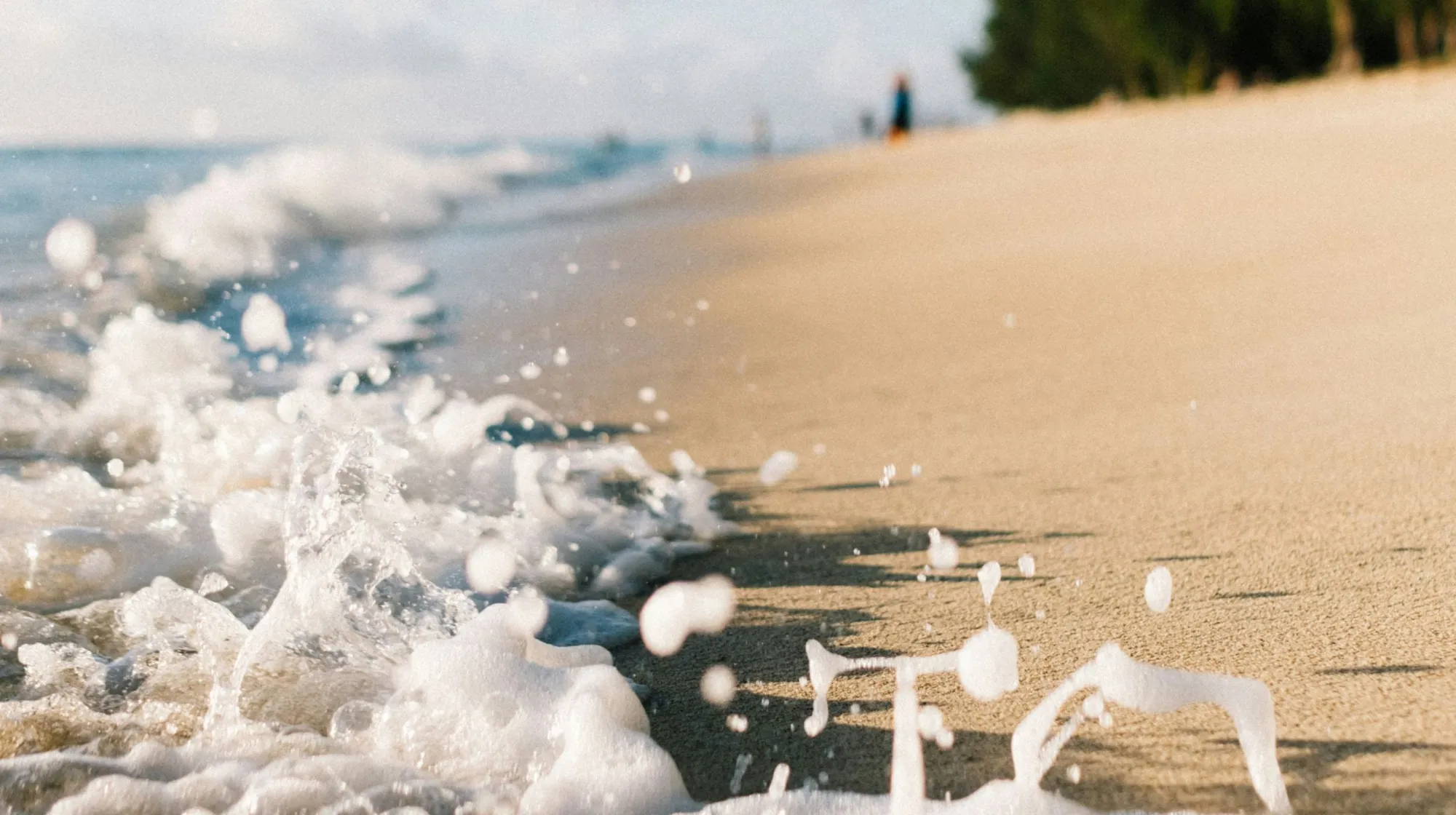 Plages et fonds marins