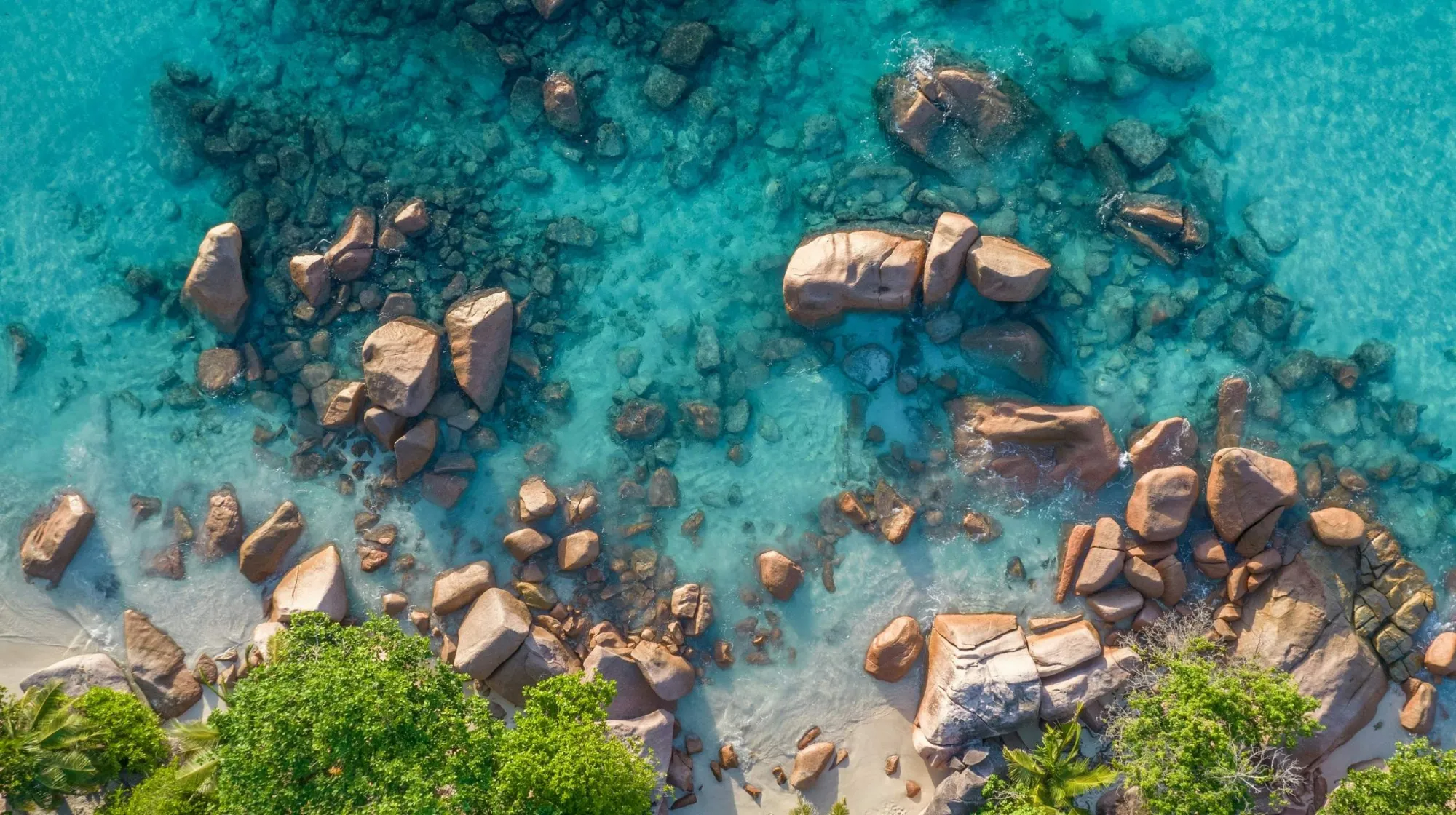 Seychelles émotions