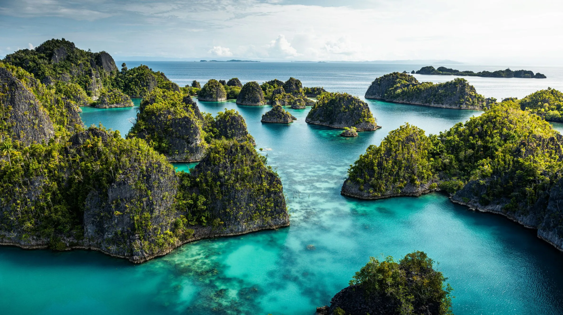 Merveilles de Raja Ampat