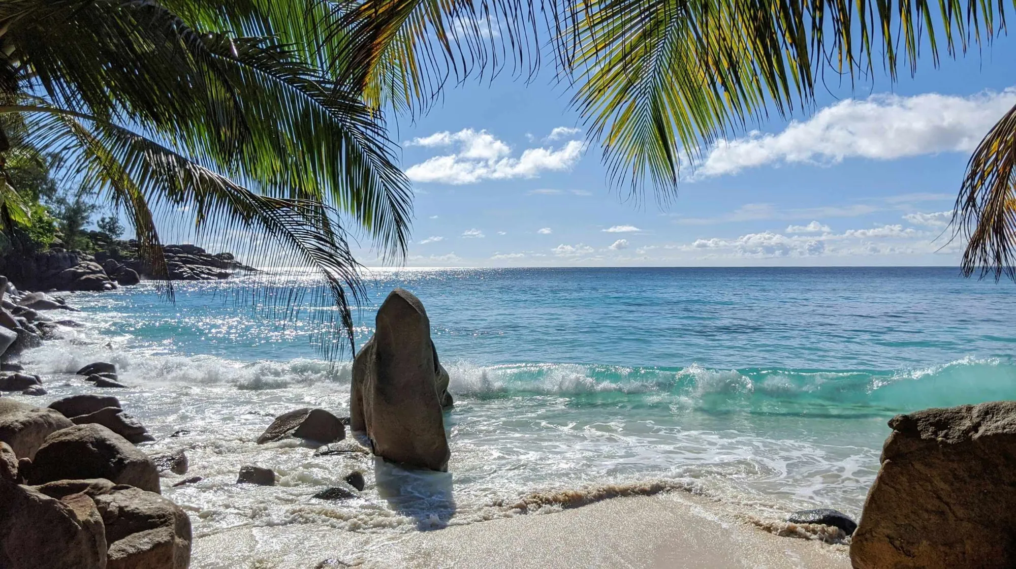 Forêts tropicales et trésors marins