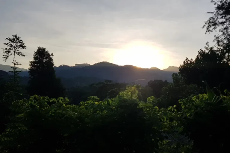 Randonnée au Sri Lanka: « Pekoe N° 2 »