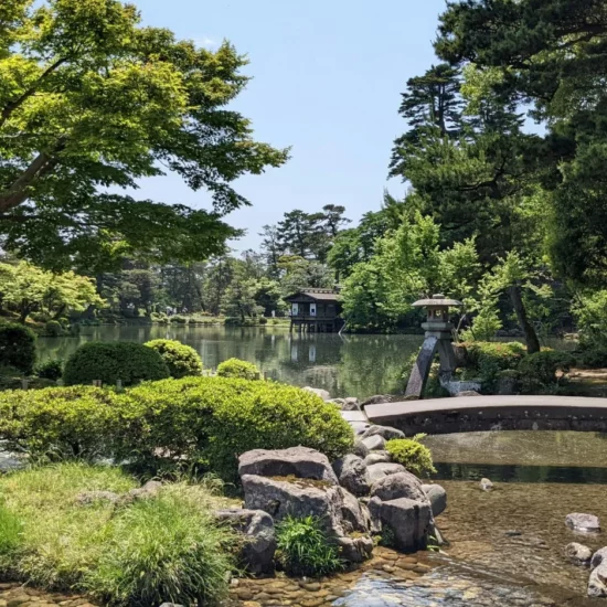 Jardin paisible avec un étang et des arbres luxuriants, offrant une ambiance sereine et envoûtante.