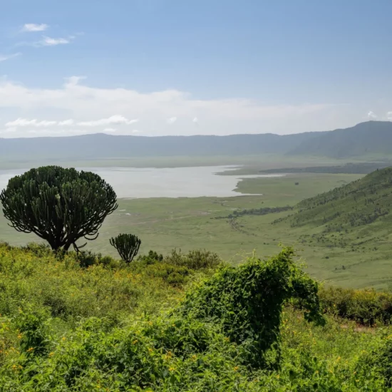 Ngorongoro, Tanzanie — un panorama époustouflant où nature sauvage et tranquillité se rencontrent pour une aventure inoubliable.