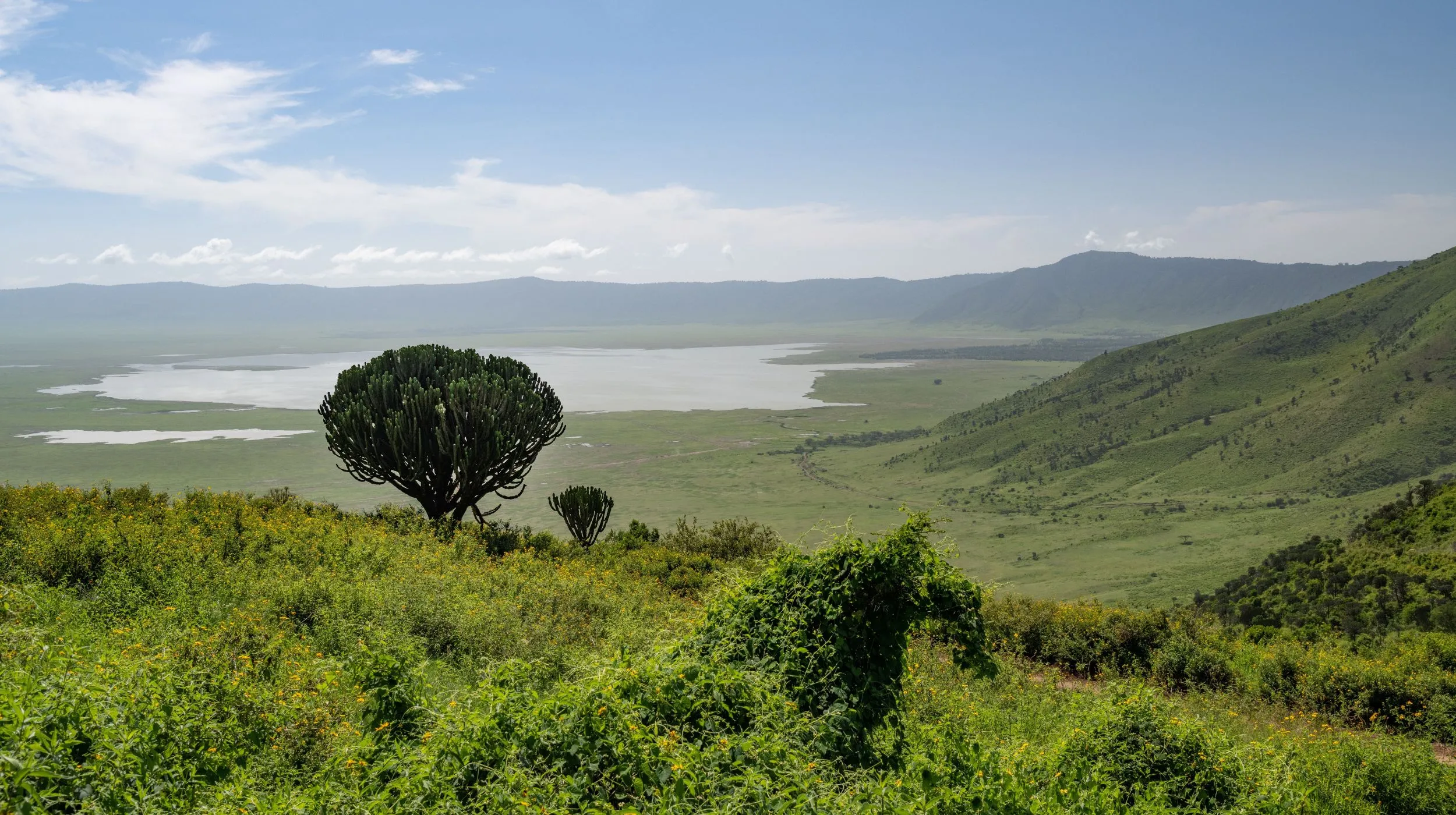 Tanzanie : Entre lac et Savane