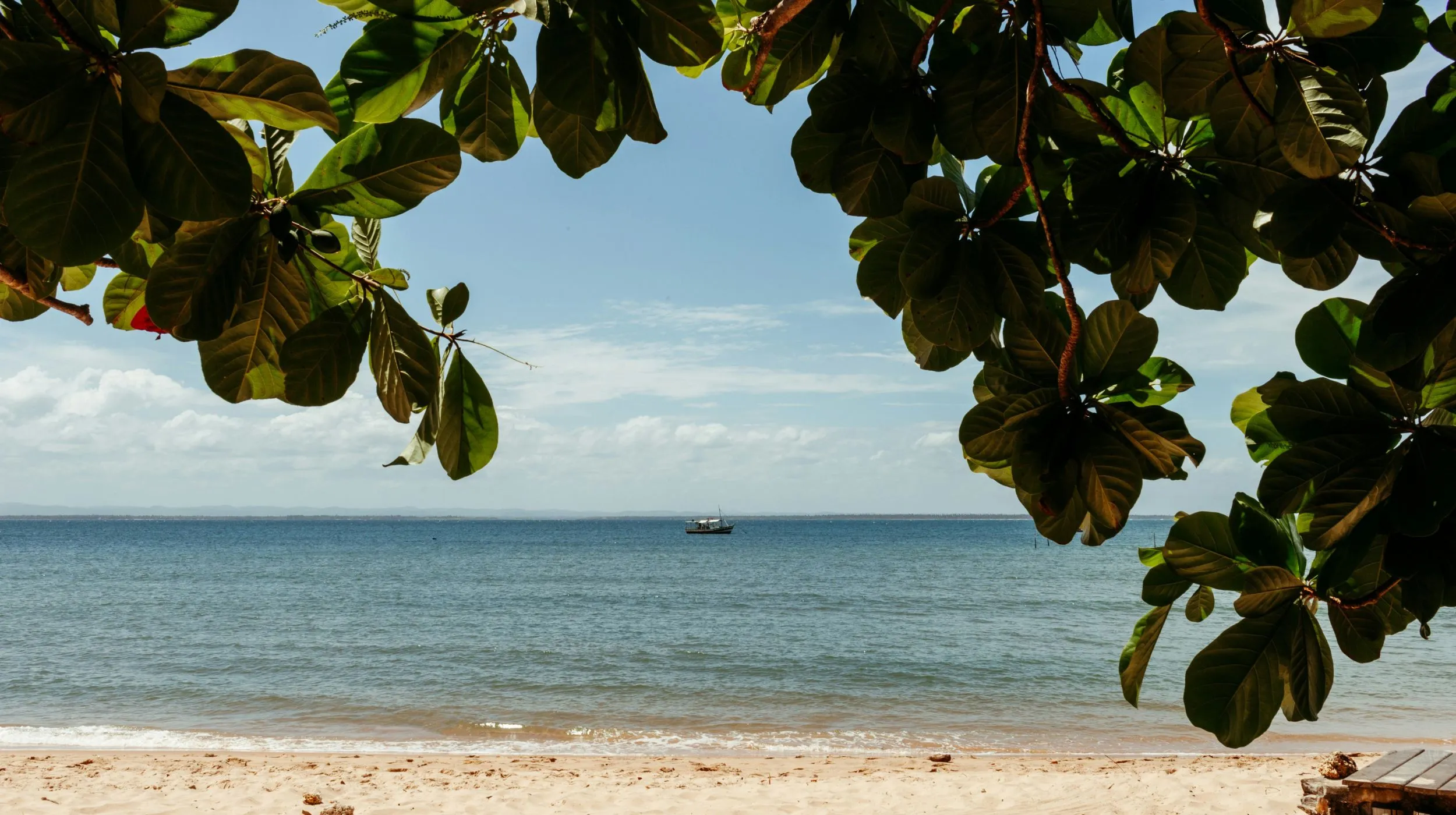 Plages de rêve du Mozambique